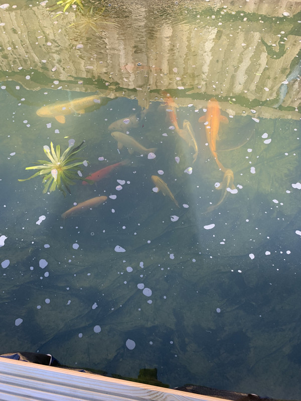 6EA85C6A-3333-443D-B007-40B570CF48DF