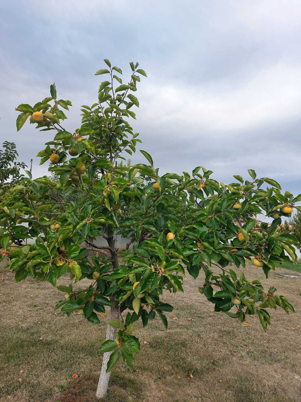 0-02-05-18dd76430172711d8f89964dc9e1c1b520e85555fab9a38929f01da60c6bcb08_3cf75ccbbfe4491b