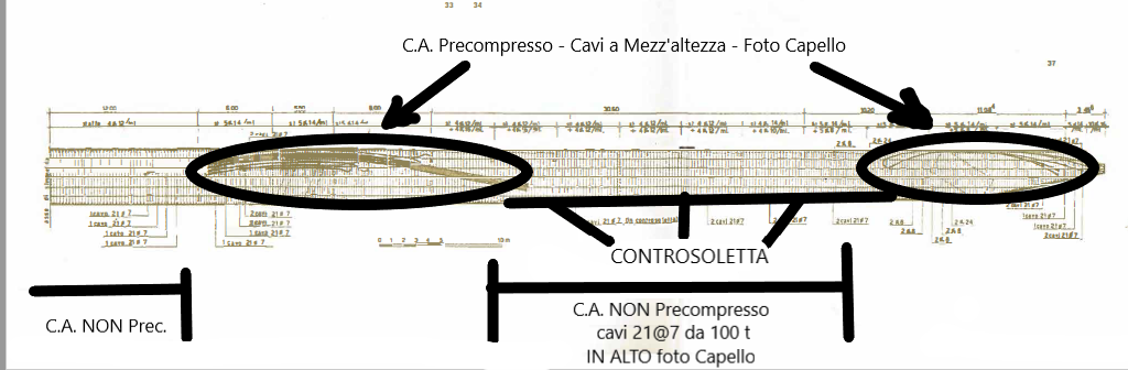 File allegato: