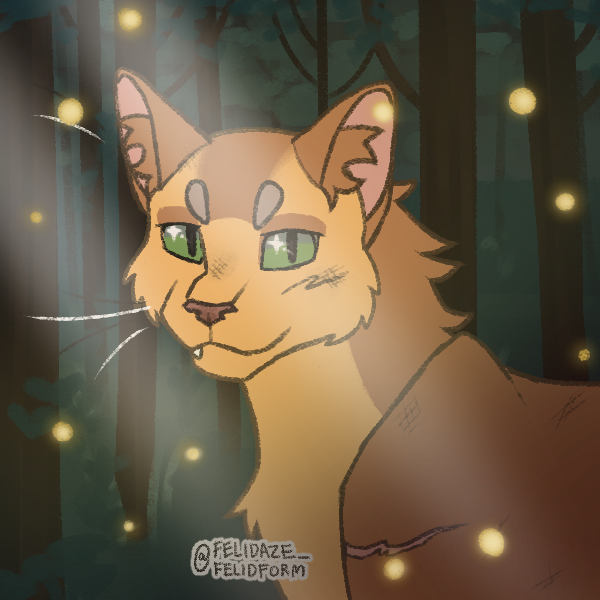 Two possibly new Warrior Cats OCs I made in Felidaze's cool cat creator on  Picrew. Name ideas? : r/WarriorCats