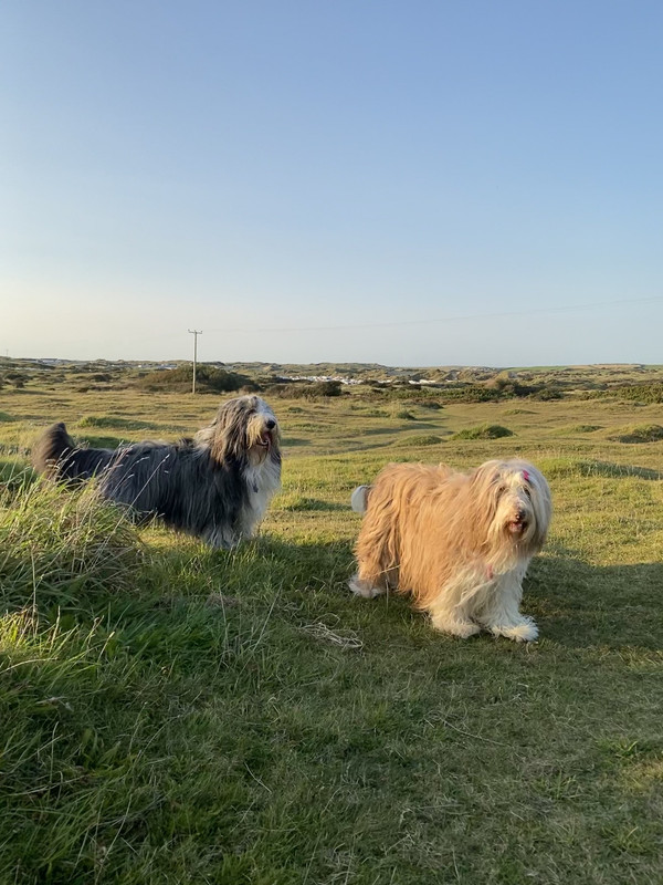 3ECF18FA-3627-4036-A064-1BBA8D2FBA73