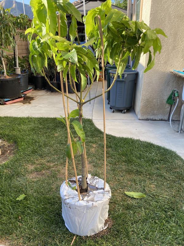 2DBC8FD3-DD18-4DB5-AC58-EDC83209221C