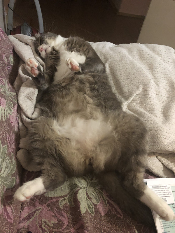 B416FEDE-F940-4488-9D1B-836B48EE6D6F