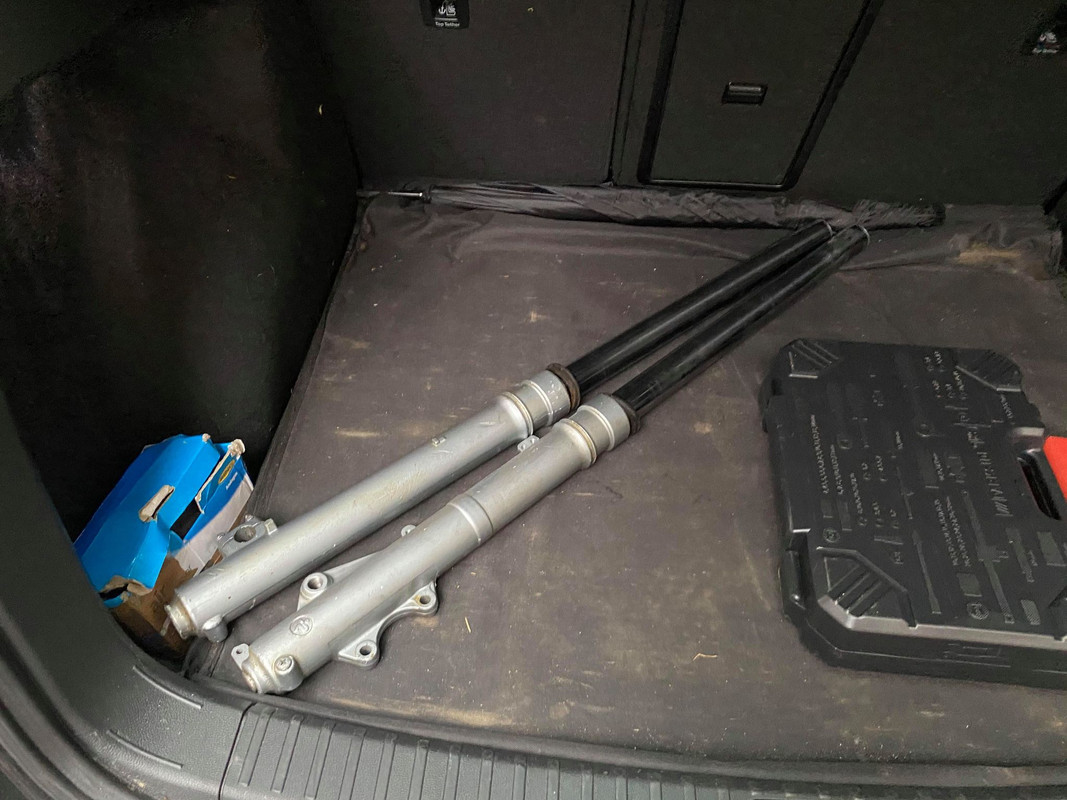 130867740_1230986870635832_5511646637516196984_n