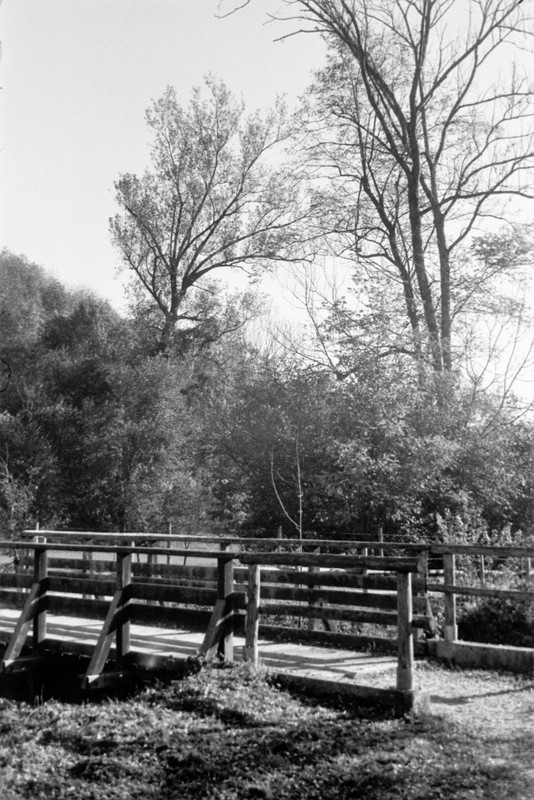 Leica II_28oct2021_13 (683x1024)