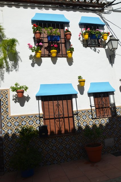 ESTEPONA-9-3-2017 - Málaga y sus pueblos-2009/2017 (83)