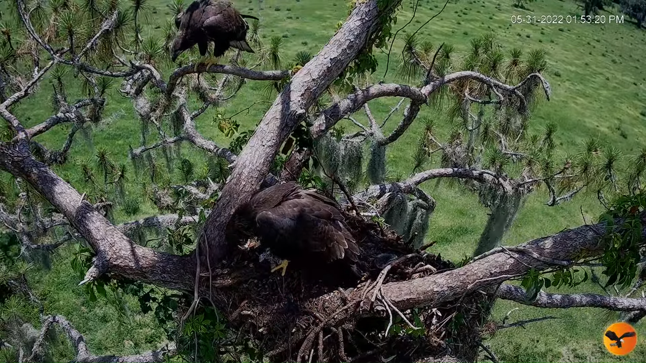 EC 4K Overhead Cam 12-47-53 screenshot