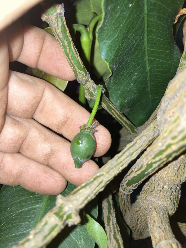 5D8B865A-7EEF-4068-9542-2F6D5DF291F8