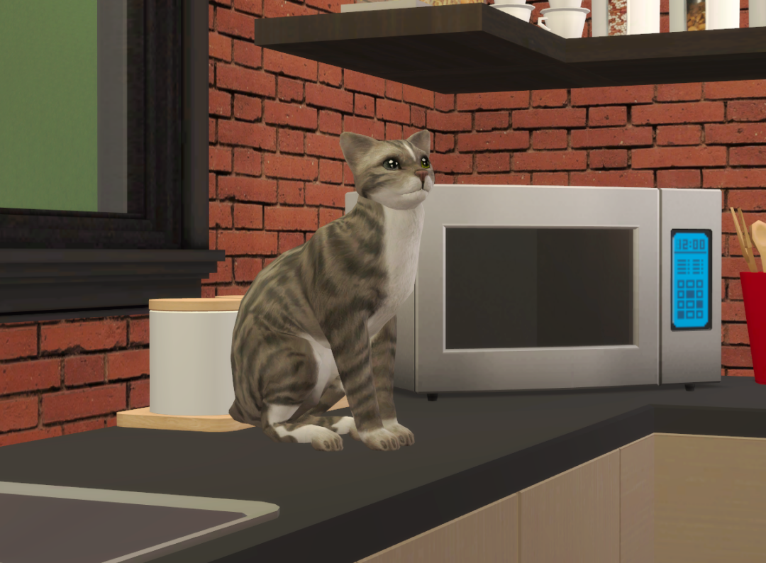 Sims2-EP9-RPC-2024-01-14-20-51-33-01