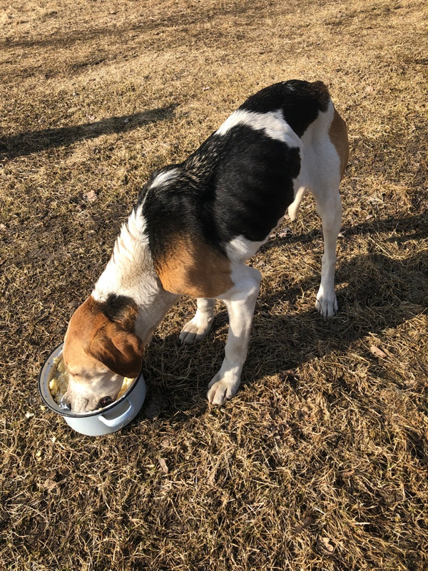 759C26FC-3303-4C38-8FED-E3EB8C67C74E