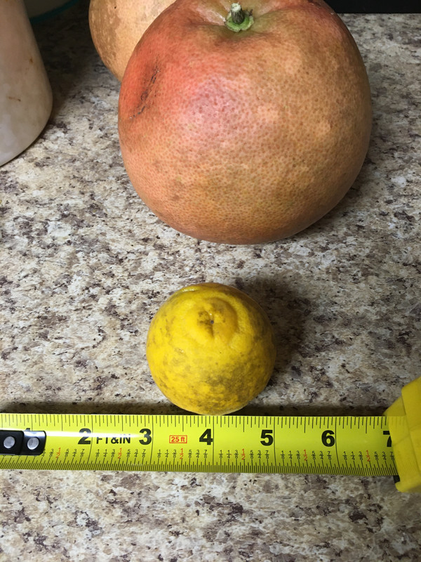 25CD2747-8091-4DC0-9D81-34E9B0694A35