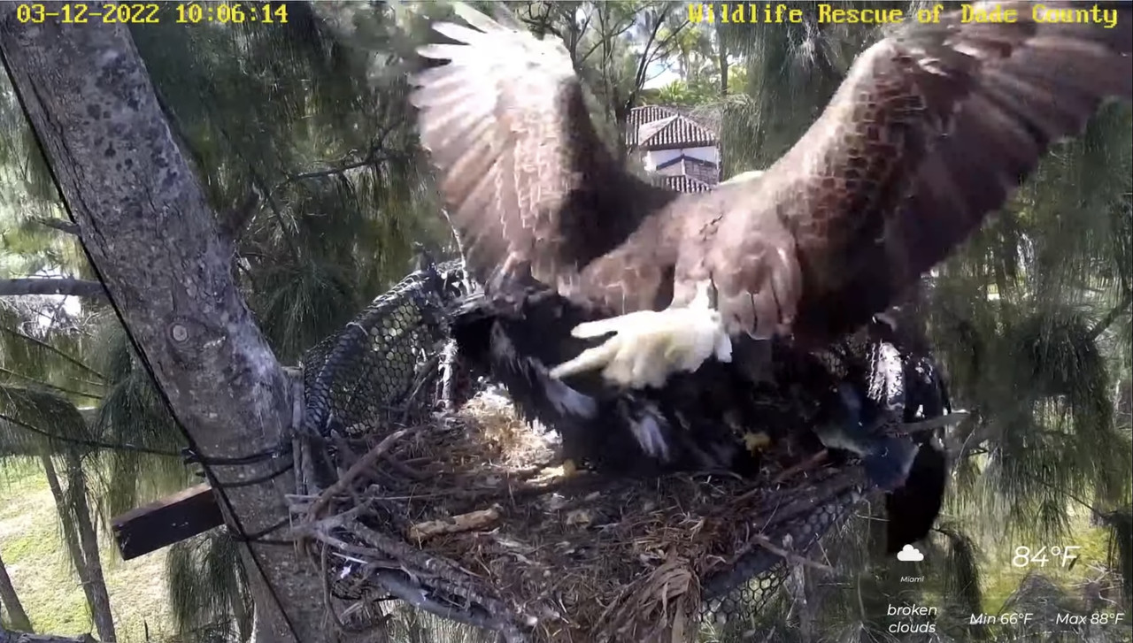 C1A8994C-09A2-42F7-9F2F-AD5C5731857F