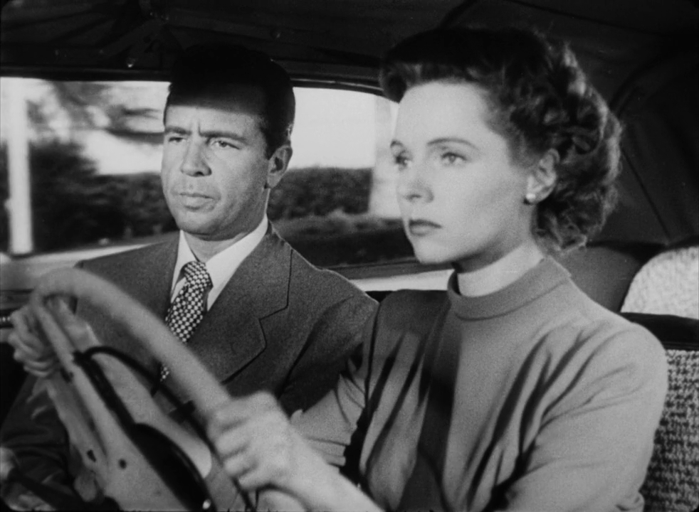 vlcsnap-2025-02-11-17h48m00s045