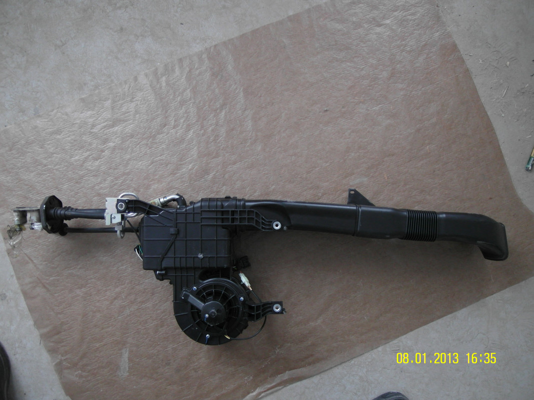 Конд задний анфас