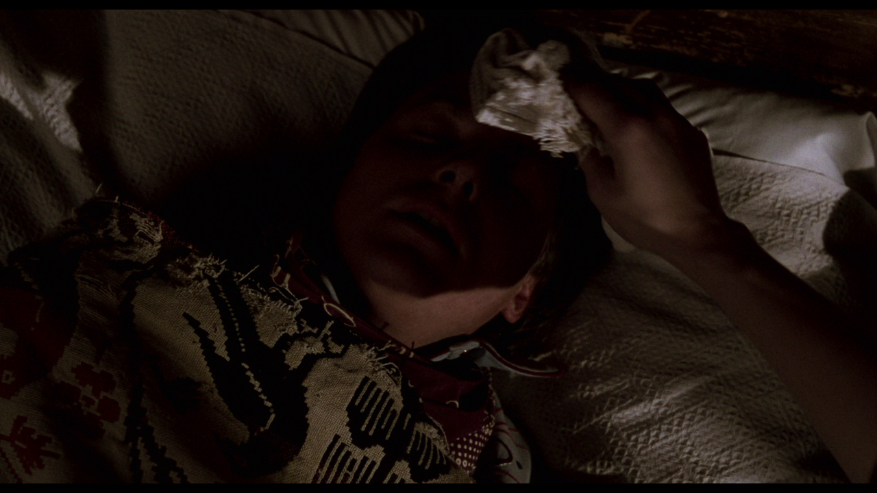 vlcsnap-2024-01-23-09h15m51s232