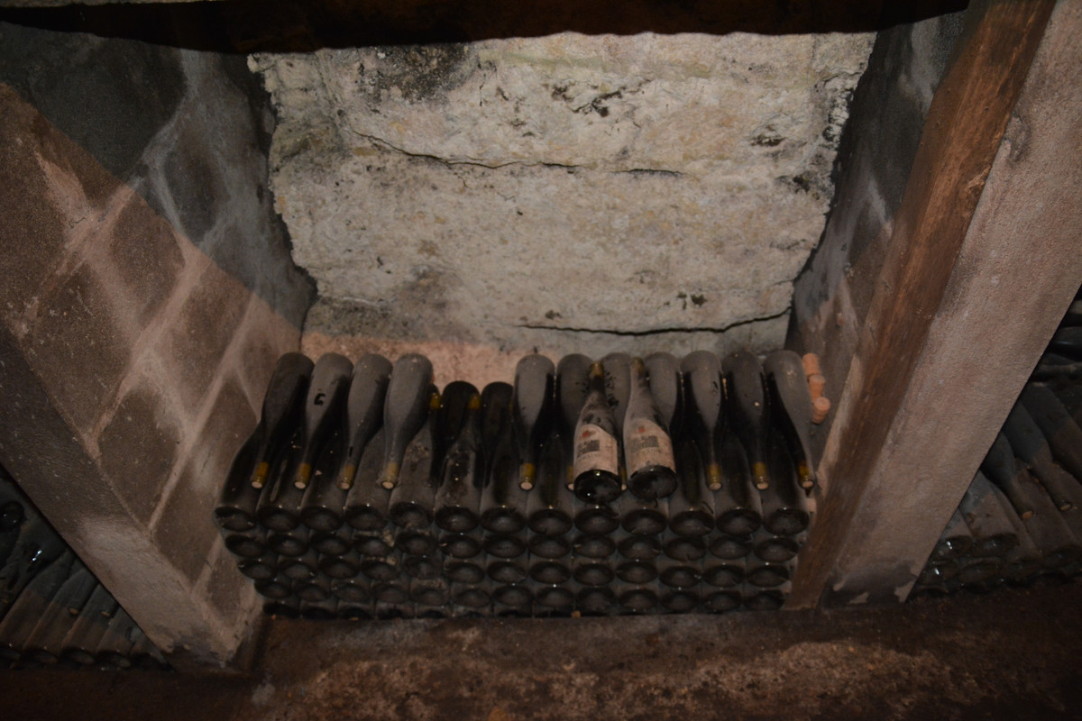 12.07 - DSC_8568 (Ater)