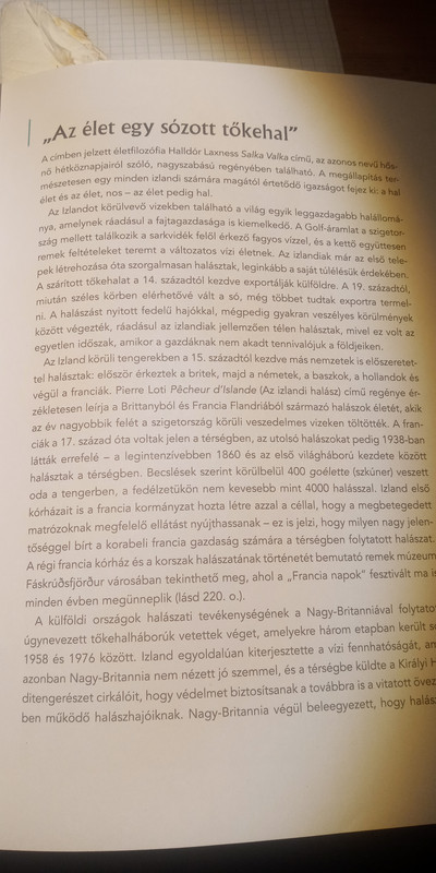 Kép