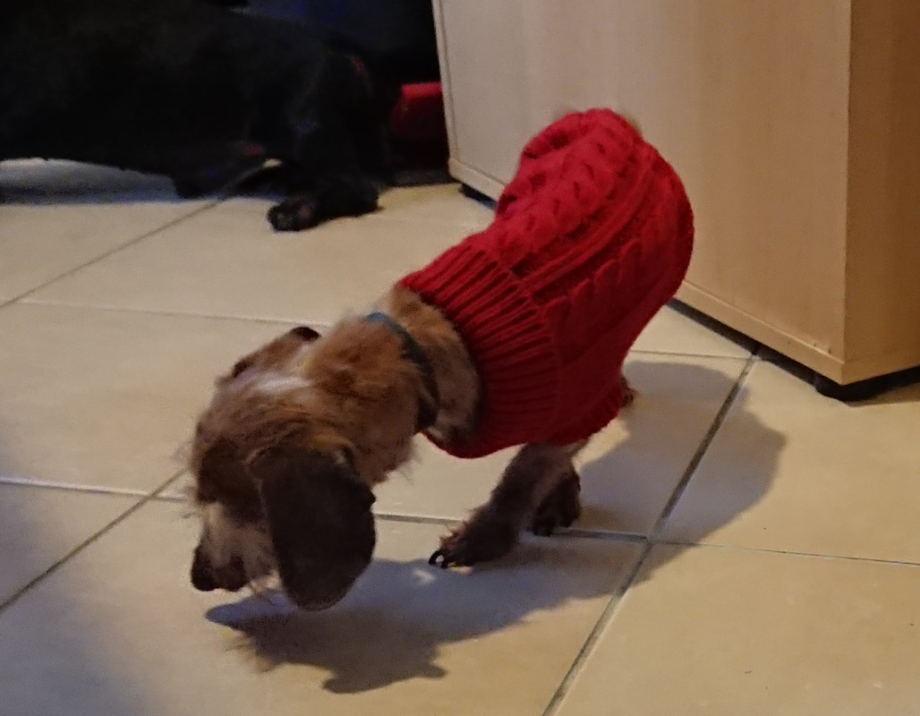 [Image: 20220907-203231.jpg]