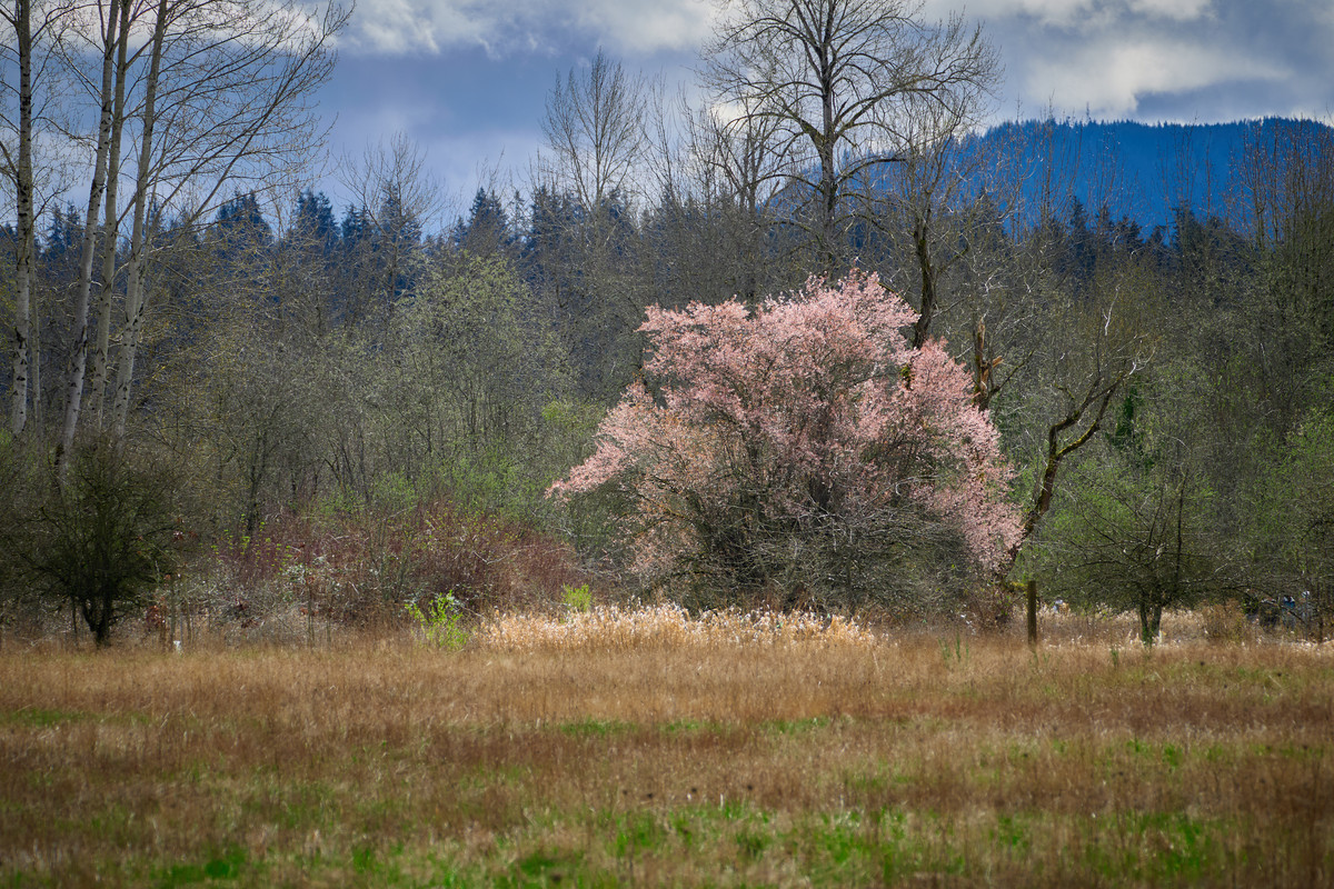 353EA210-35B3-4B42-832D-6D6384534708