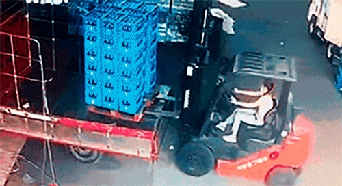 81.gif