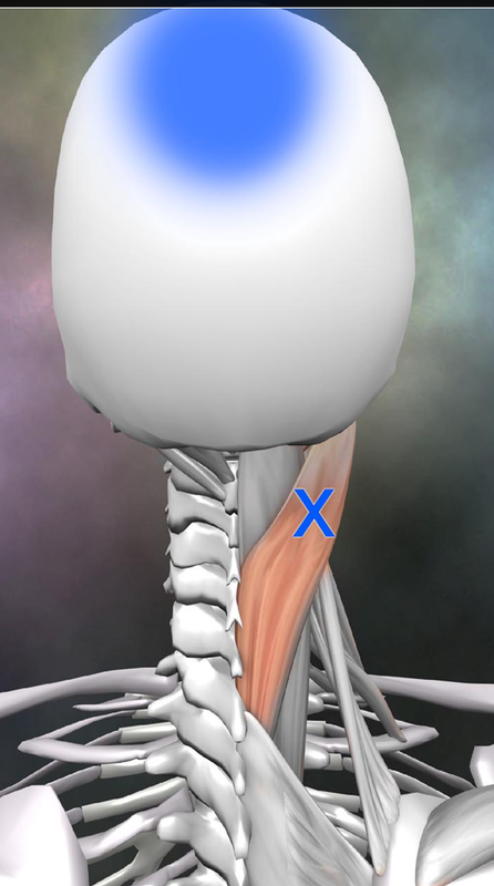 Screenshot_20201126-075620