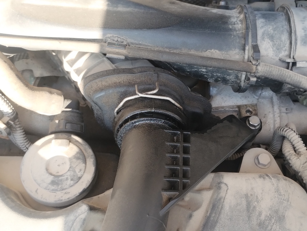 IMG 20251109 145352974