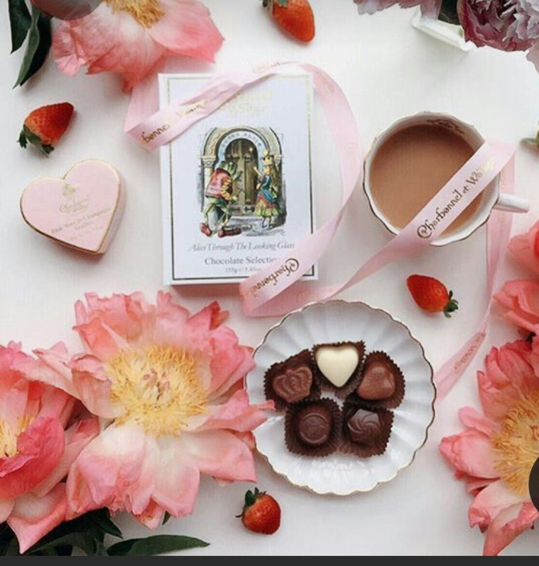 Screenshot_20230227_235213_Pinterest