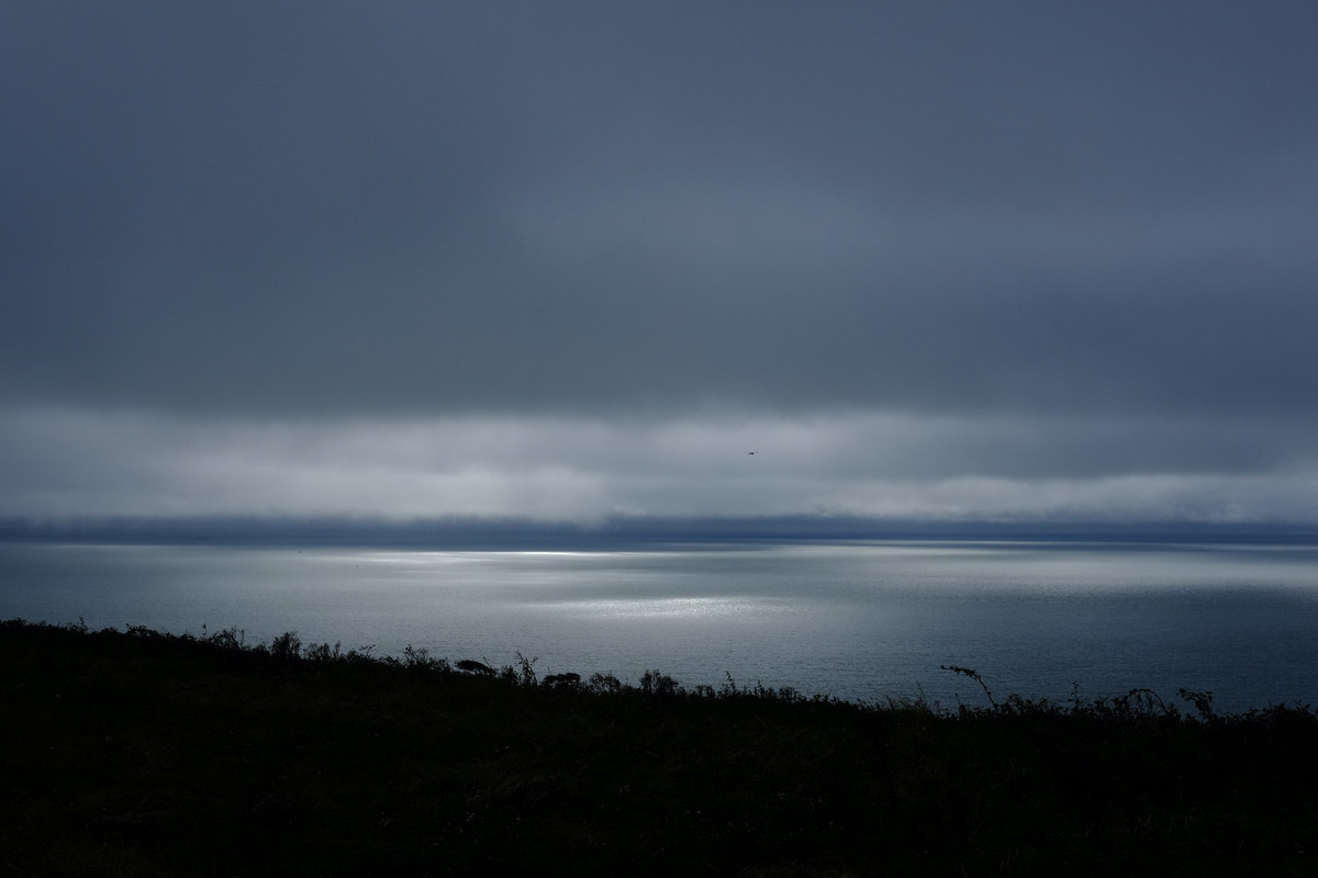 51566305200-fcfd9c29a7-o.jpg