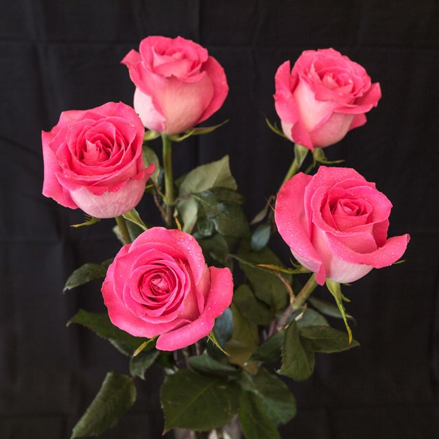 [Image: 9-EF6-DA5-D-CDDF-4994-8913-B43-C32-ED426-F.jpg]