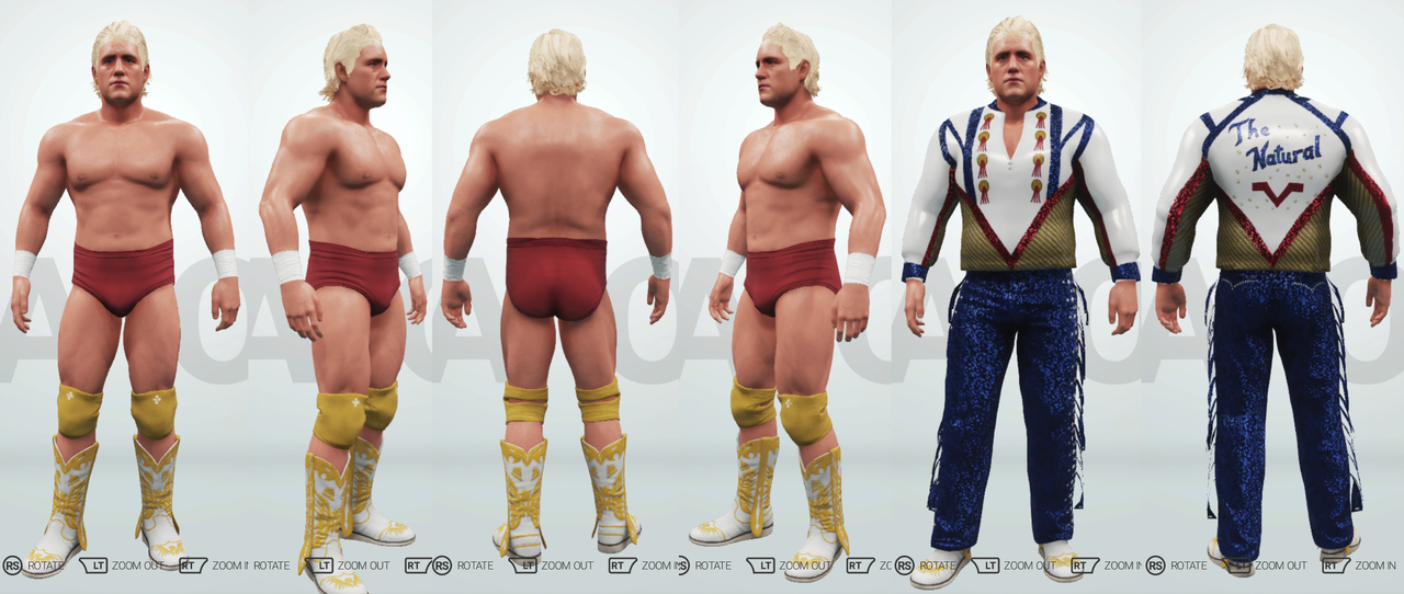 Dustin-Rhodes-2-K19-CAW03.png