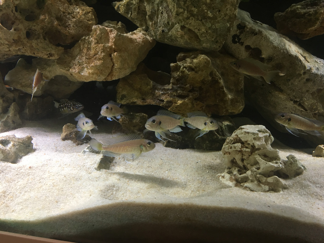 8C34ABBB-BDF0-48E3-9369-CBDC0CDB1E28