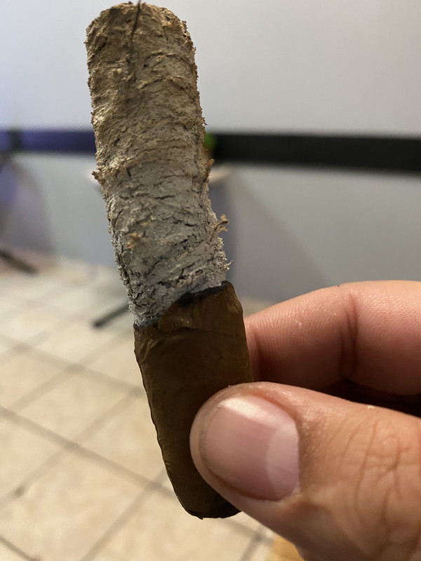 89C598F1-79BB-41E0-9EE0-A3FBBCCDAE4B