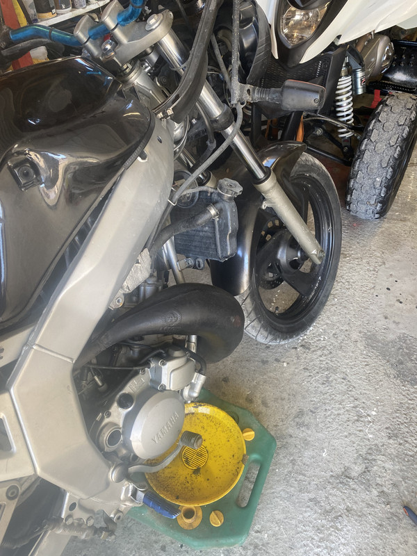 14556E55-9028-4631-803B-31E461DE4CA5