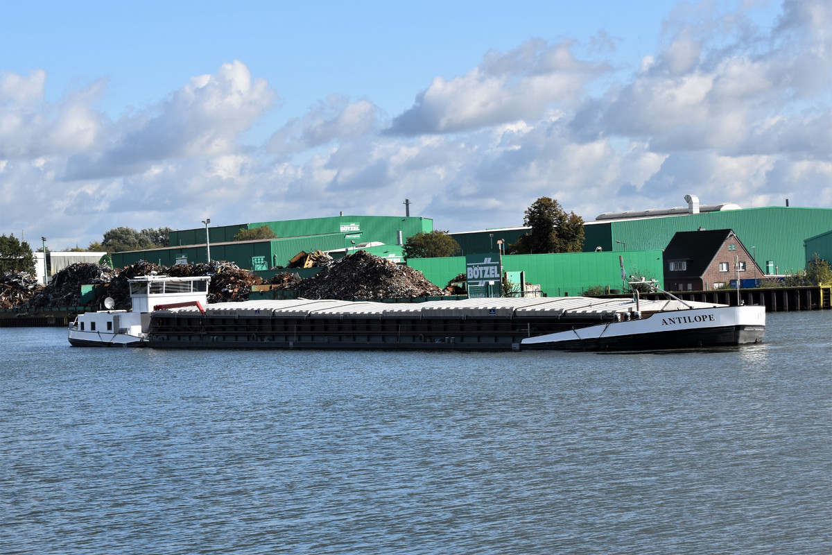 2021.10.15ad Antilope (1940x1293)