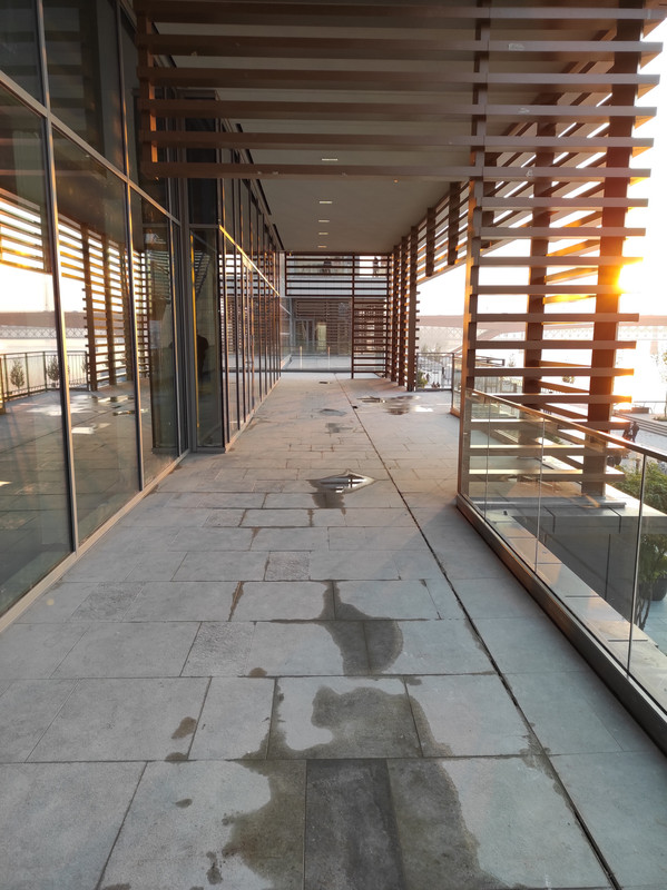 IMG-20201108-154547.jpg