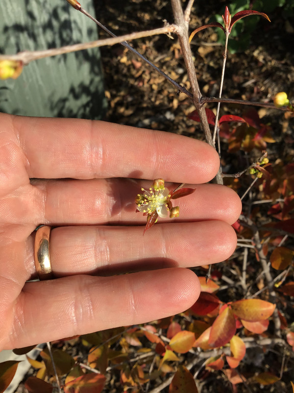 DCEE34FC-624A-4000-8AC8-8A8FD736E6B2