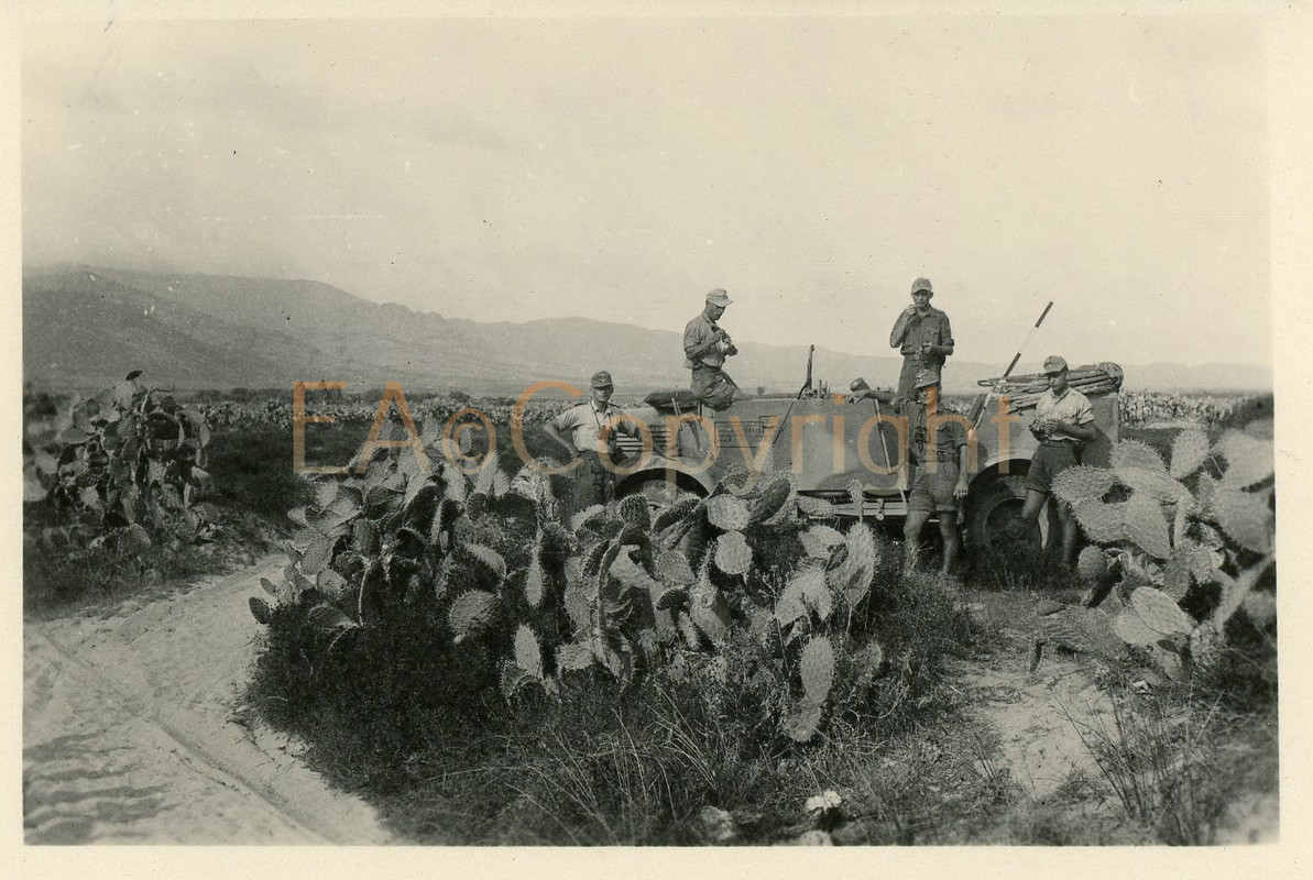 Italien Tarn Camo Kübelwagen PKW Auto Wagen Foto
