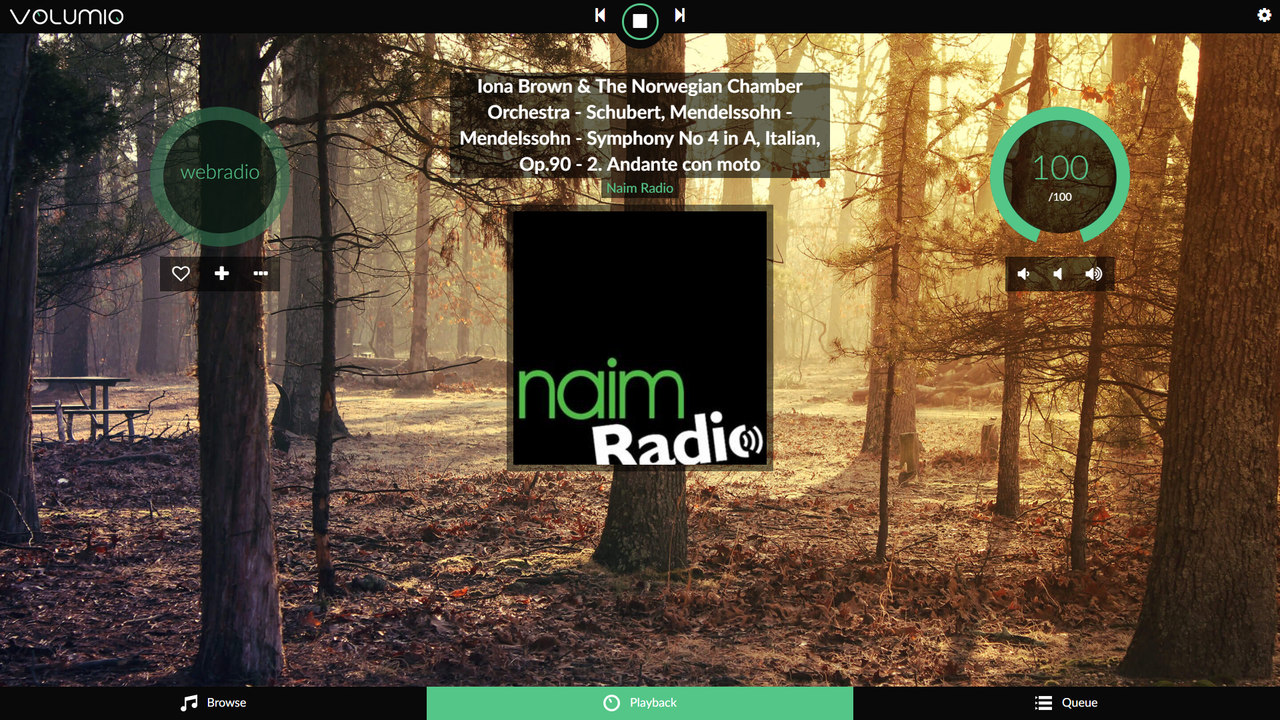 DigiOne Volumio Play (Large)