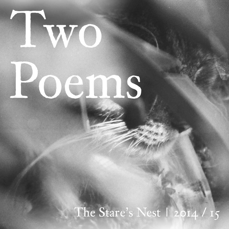 Two poems, James Bruce May