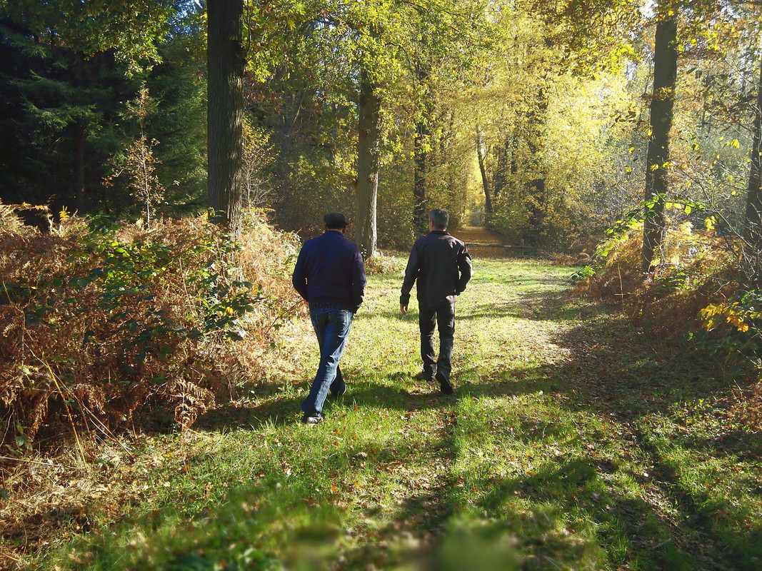 wandelen