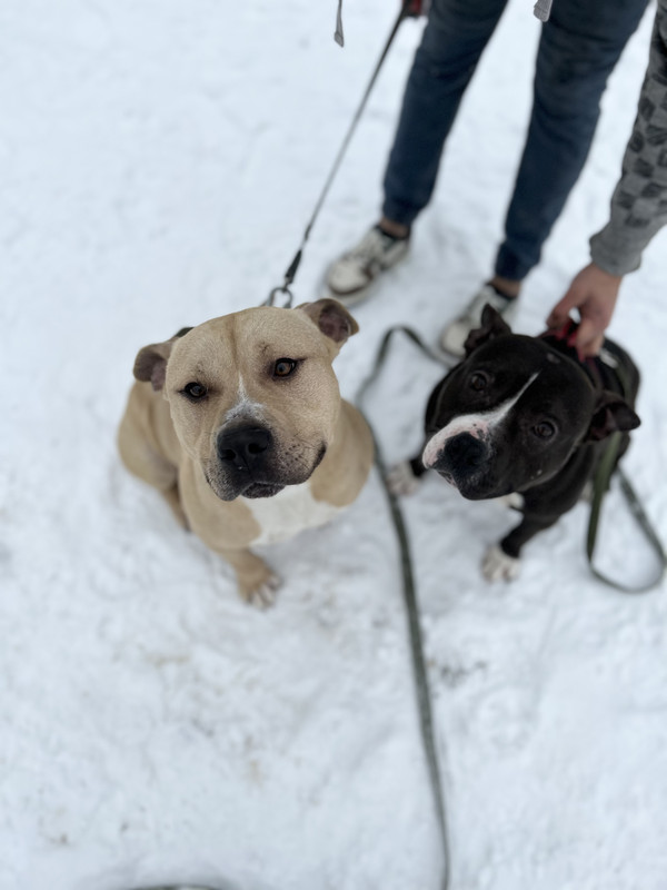 104B6B81-9EF3-4163-895B-14B9986CDDCD