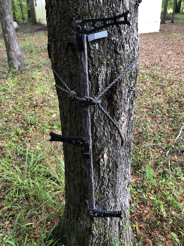 9EC2DC83-2C20-4A53-91FA-C4FE902D5CBF