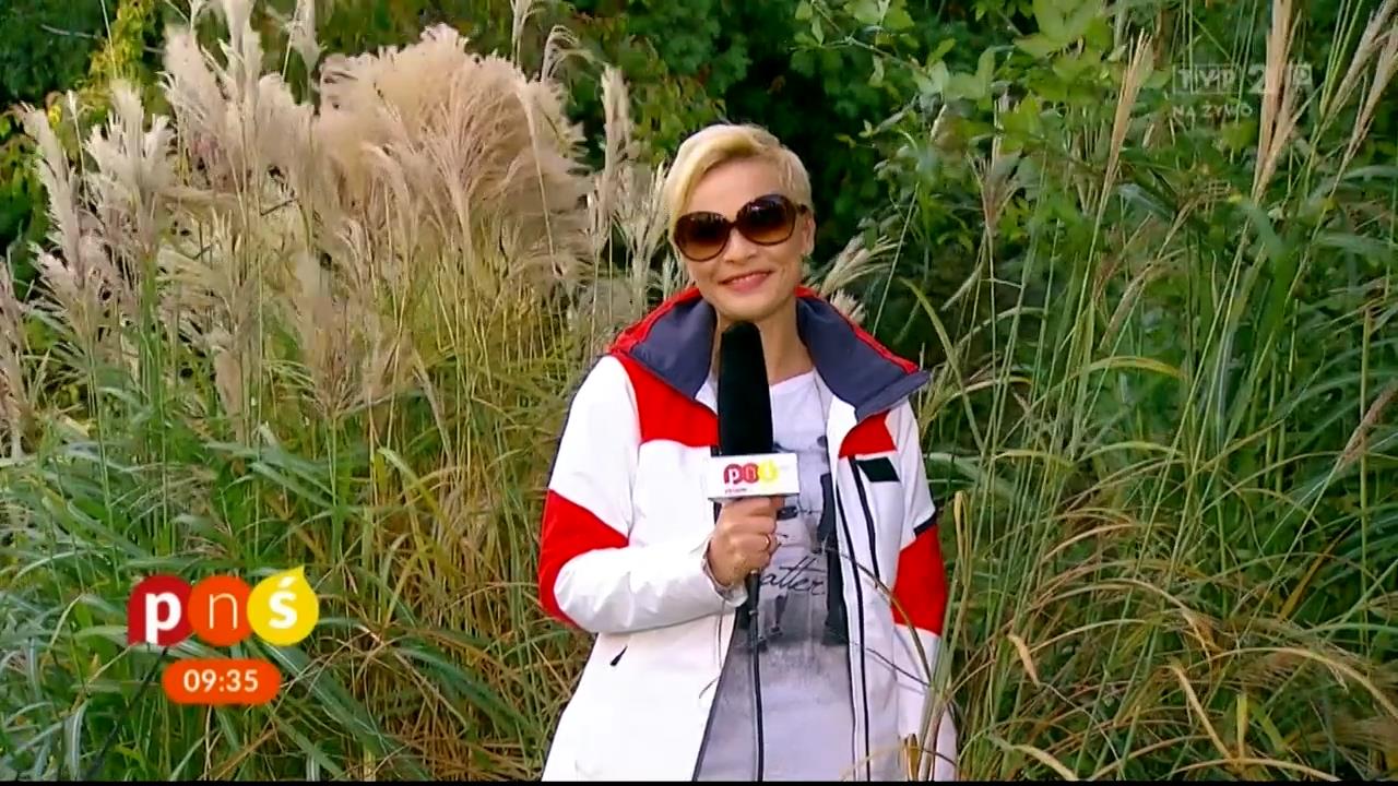 V0323_20181104_121007.mp4_snapshot_07.22_[2018.11.11_23.44.45]