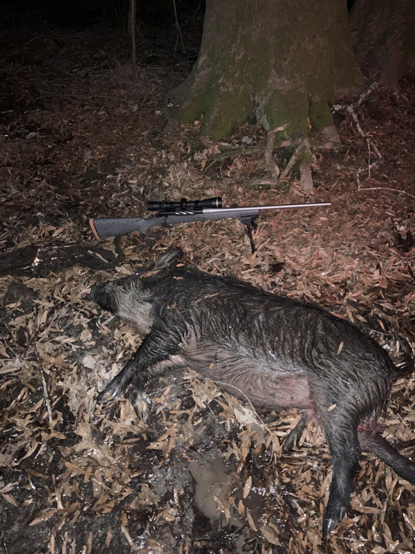 F5F4280B-7EA7-41BB-87FB-B46E8557E222