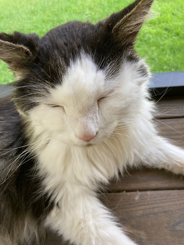 68514221184__D67D5070-F841-476F-AC47-9F995C44F286