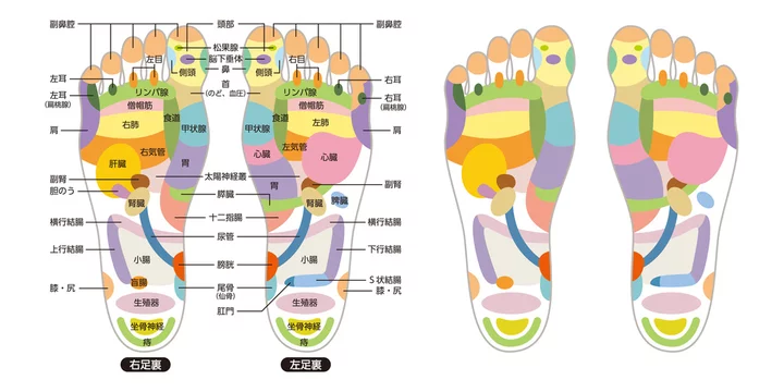 足裏ツボ図