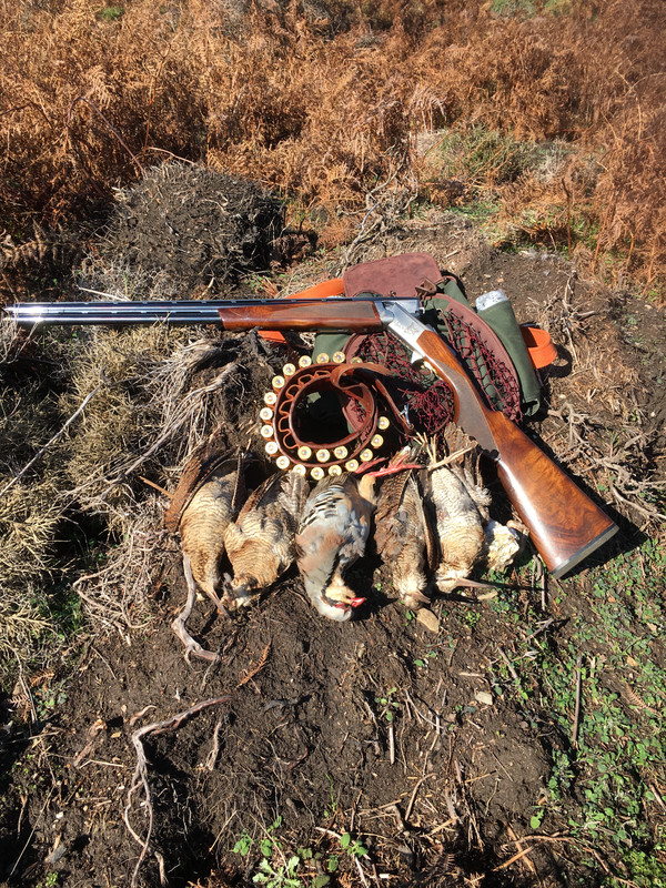 7D05B623-3153-41B5-B8D7-F958BF2FAF48