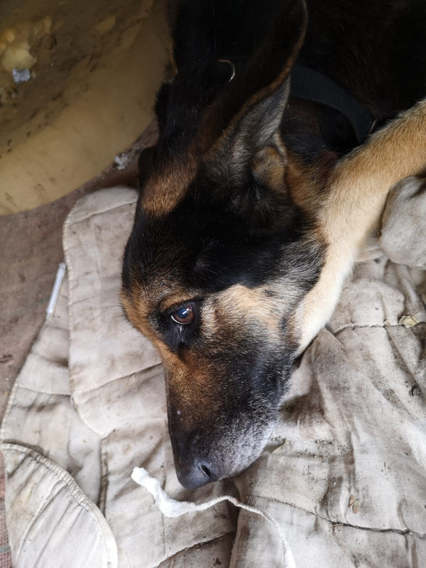 WhatsApp Image 2021-02-17 at 12.22.22 (2)