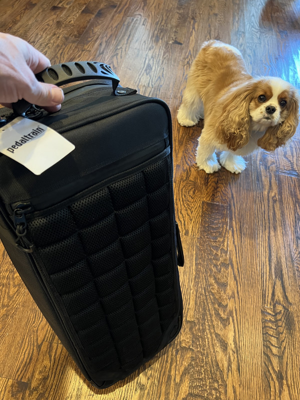 20BB43ED-4E3B-43F5-9C4A-156687E7673F