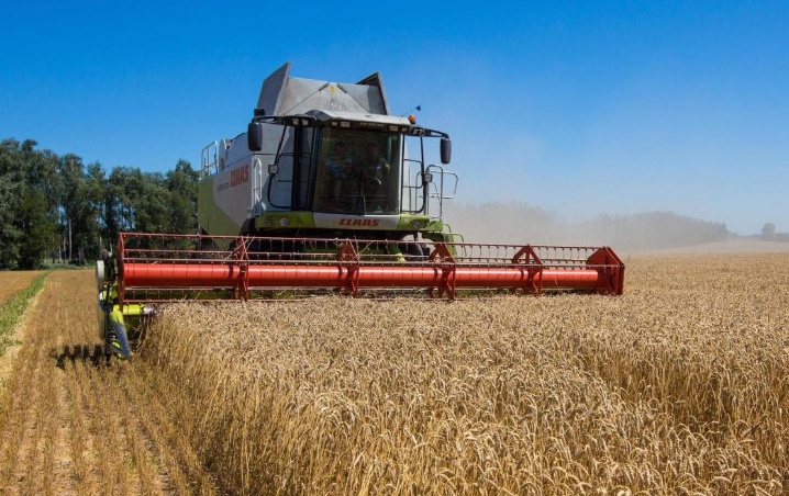 Países de Latinoamérica que se beneficiarán por aumento en materias primas